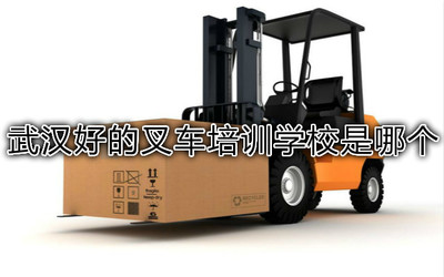 武漢專業化叉車培訓與人工搬運服務解析